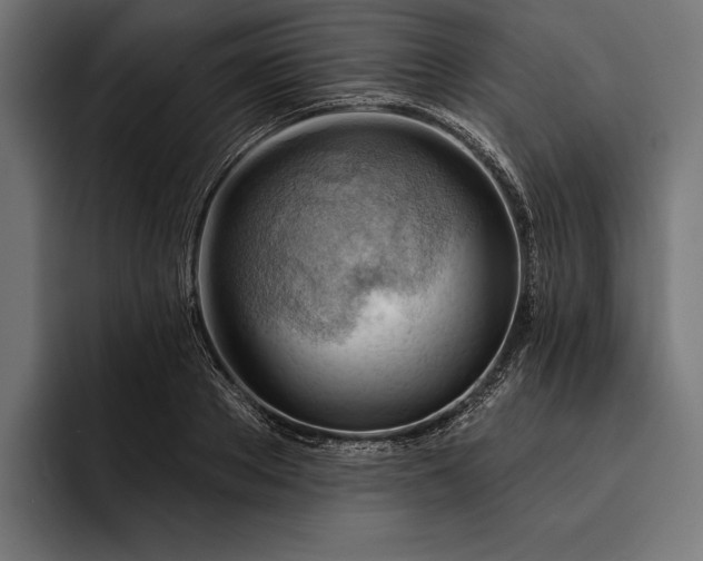 X0000093110889200710101020