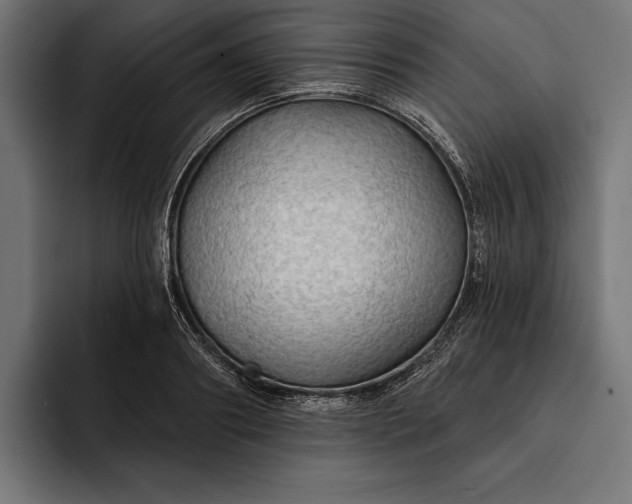 X0000093110890200710101020