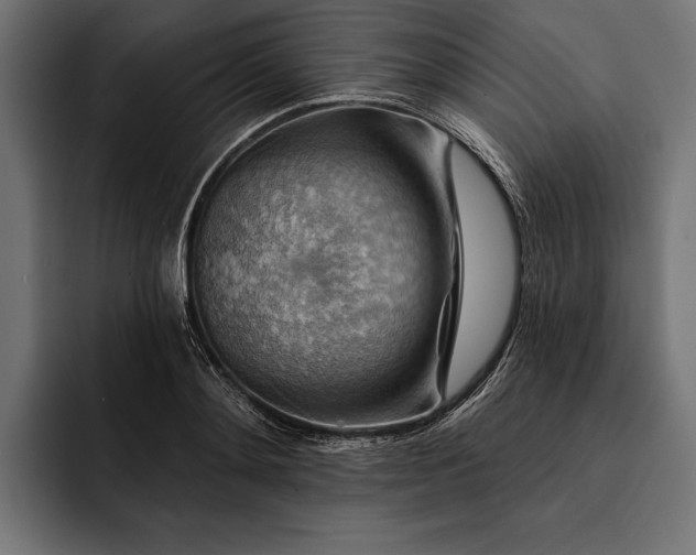 X0000093110892200710101020