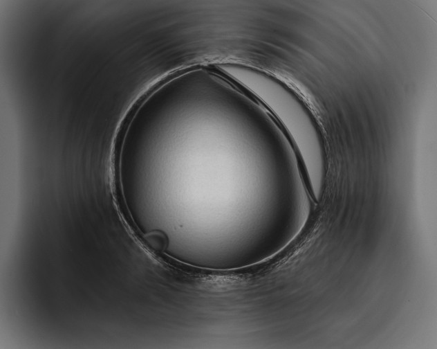 X0000093110894200710101020