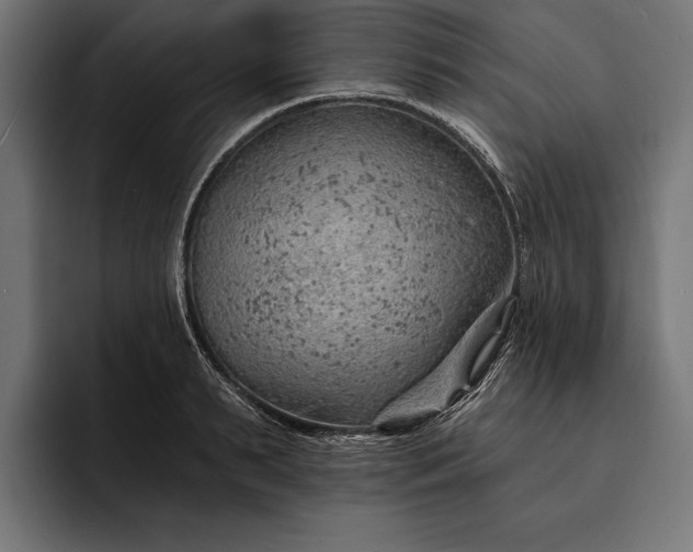 X0000093110895200710101020