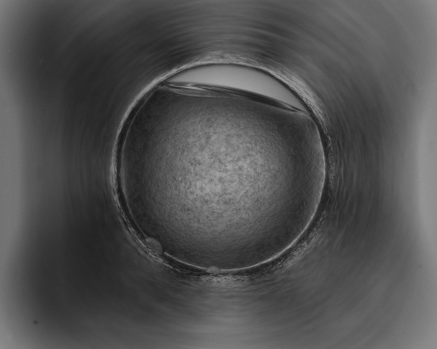 X0000093110896200710101020