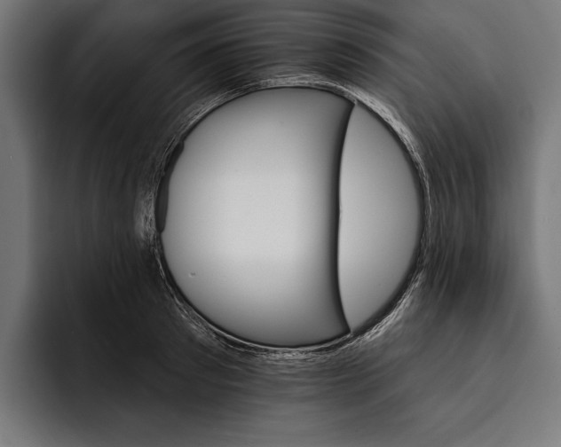 X0000093110897200710101020