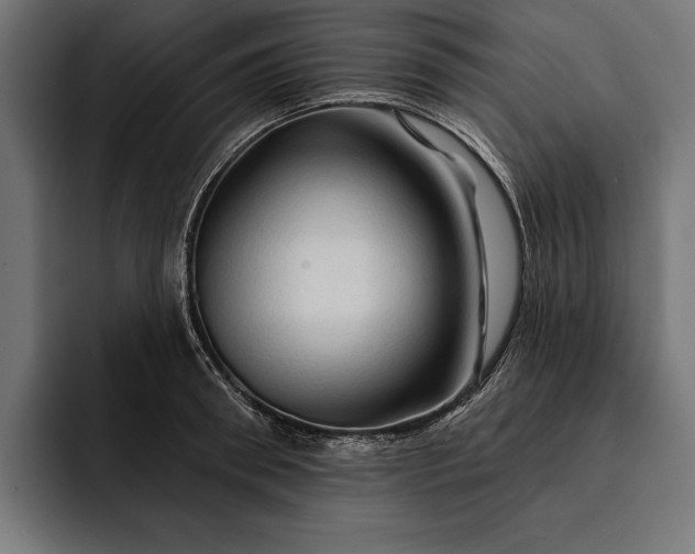 X0000093110898200710101020