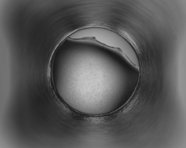 X0000093110900200710101020