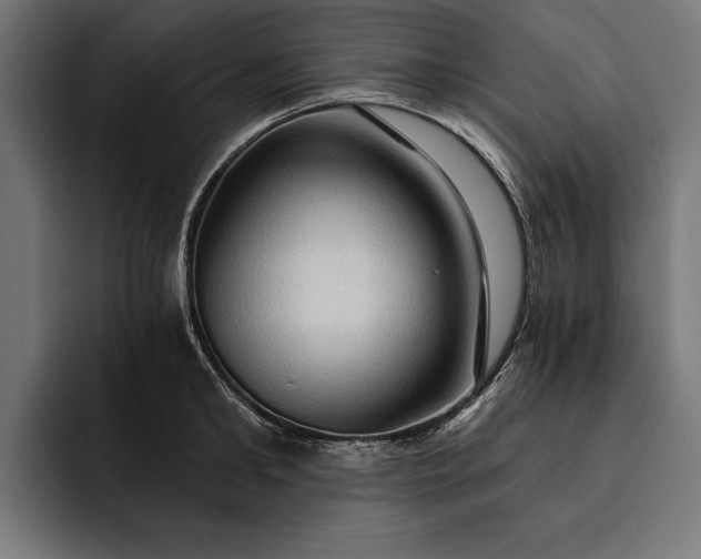 X0000093110902200710101020