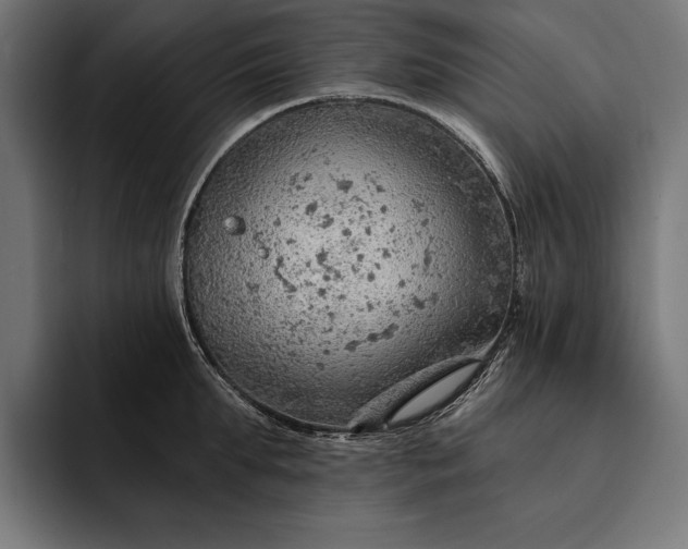 X0000093110903200710101020