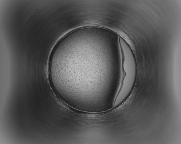 X0000093110904200710101020