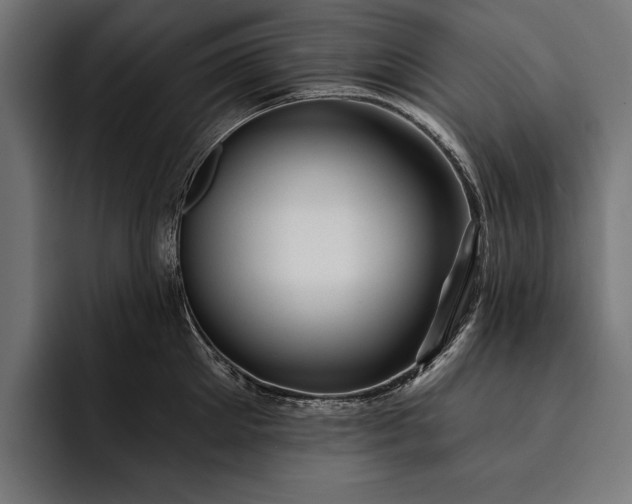 X0000093110905200710101019