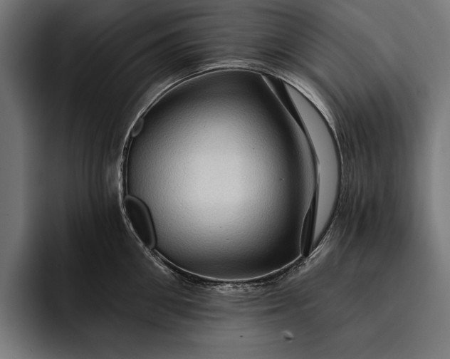 X0000093110906200710101019