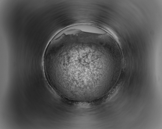 X0000093110907200710101019