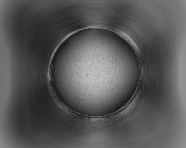 X0000093110908200710101019