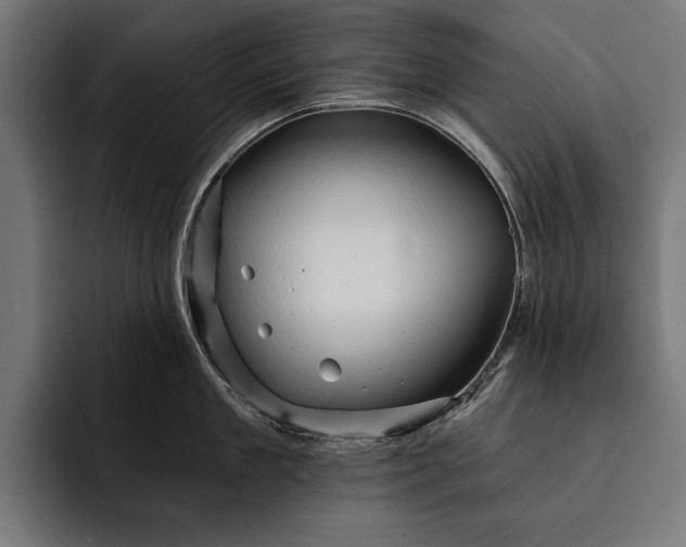 X0000093110909200710101019