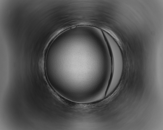 X0000093110910200710101019