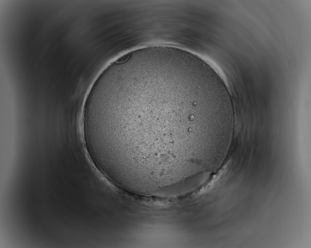 X0000093110911200710101019