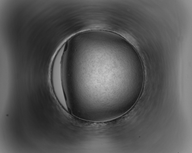 X0000093110912200710101019