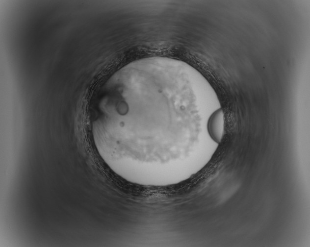 X0000093110913200710101019