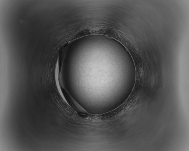 X0000093110914200710101019