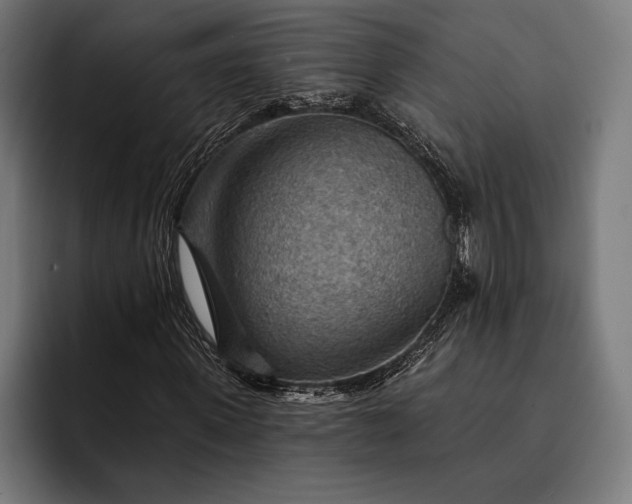 X0000093110915200710101019