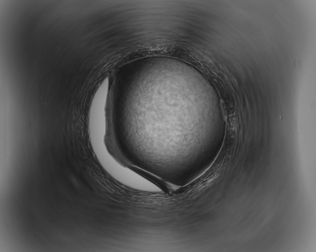 X0000093110916200710101019