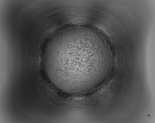 X0000093110917200710101019