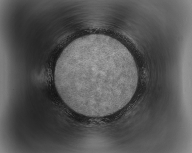 X0000093110918200710101019