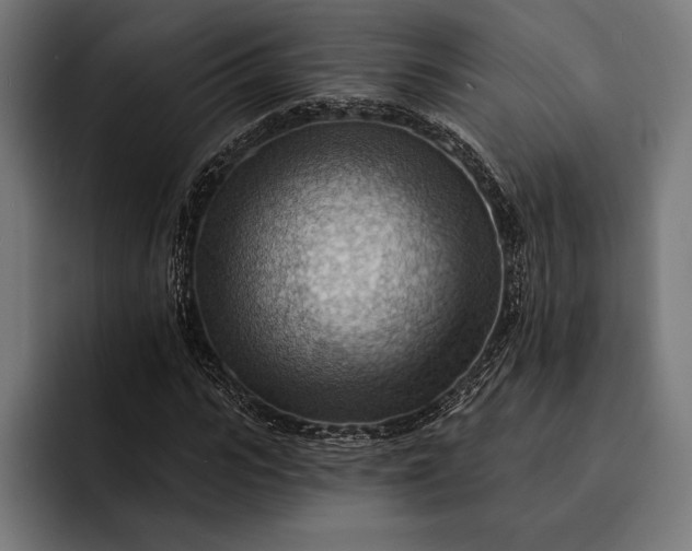 X0000093110919200710101019