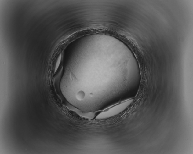 X0000093110920200710101019