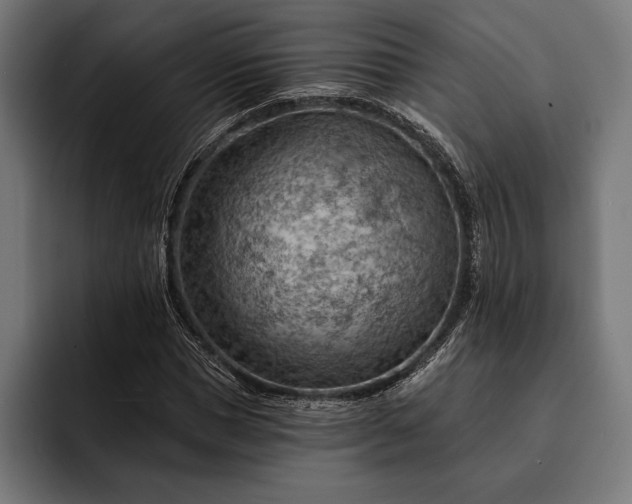 X0000093110921200710101019