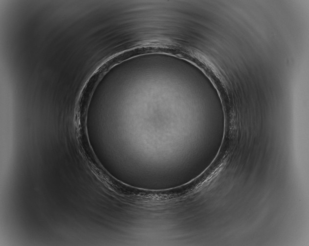 X0000093110923200710101019