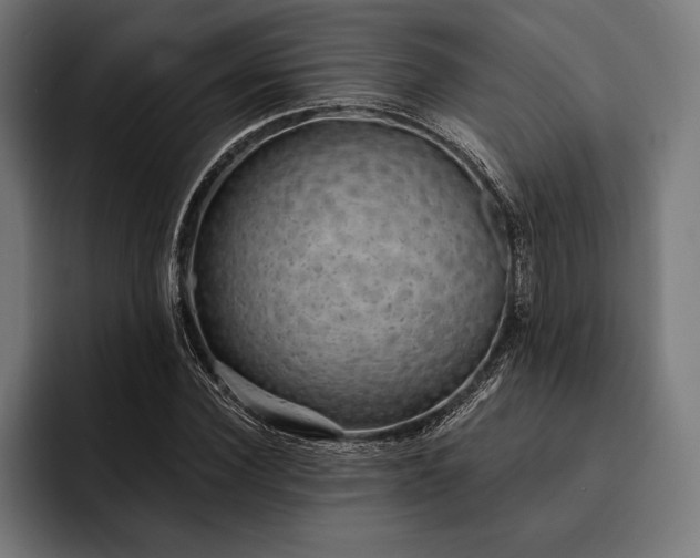 X0000093110924200710101019