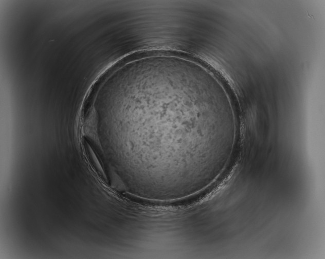 X0000093110925200710101019