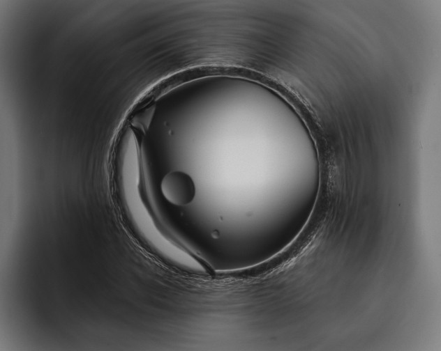 X0000093110926200710101019