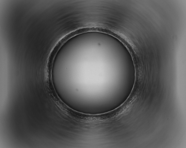 X0000093110927200710101019