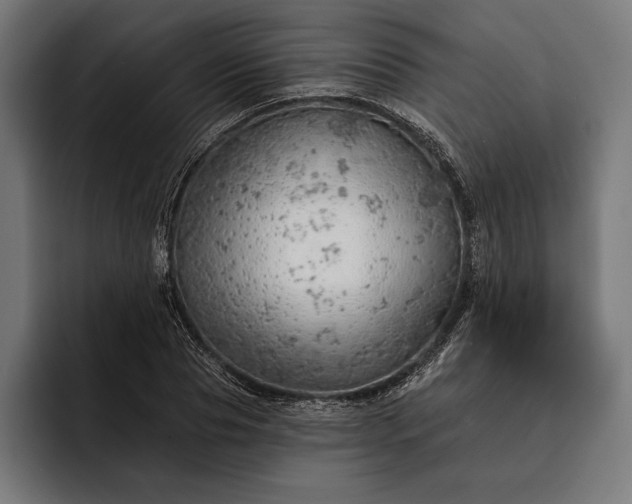 X0000093110929200710101019