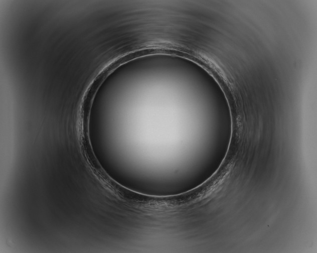 X0000093110931200710101019