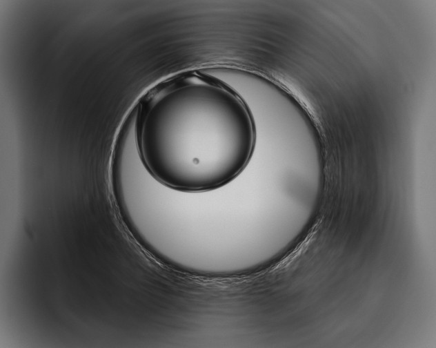 X0000093110932200710101019