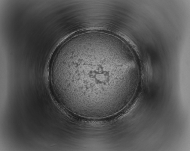 X0000093110933200710101019