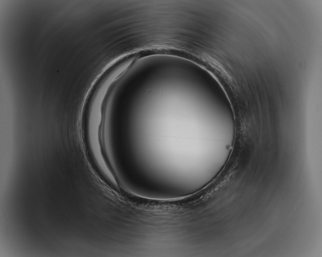 X0000093110934200710101019