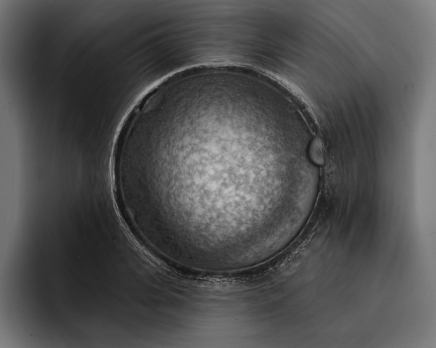 X0000093110935200710101019