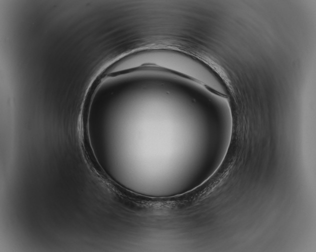 X0000093110936200710101019