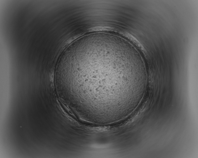 X0000093110937200710101019