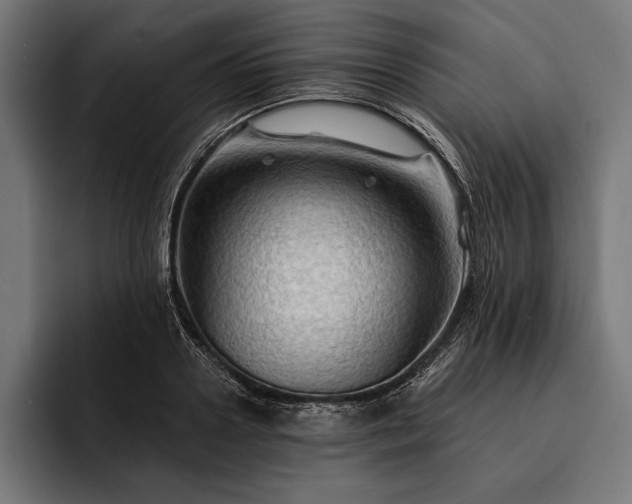 X0000093110938200710101019