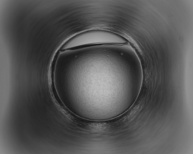 X0000093110939200710101019