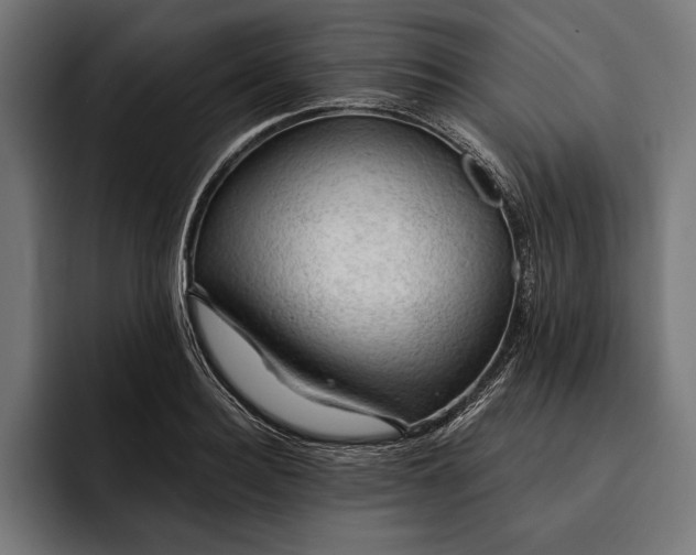 X0000093110940200710101019