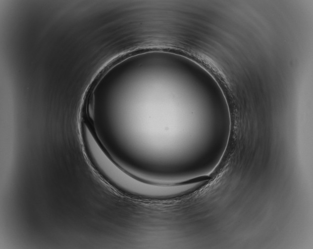 X0000093110942200710101019