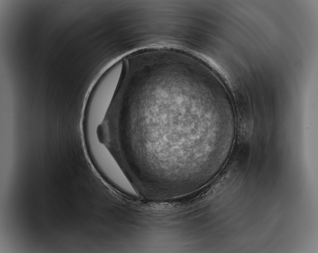 X0000093110943200710101019