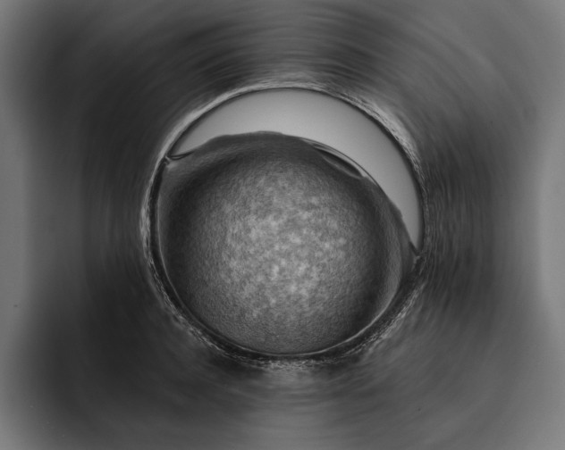 X0000093110944200710101019