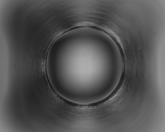 X0000093110945200710101019