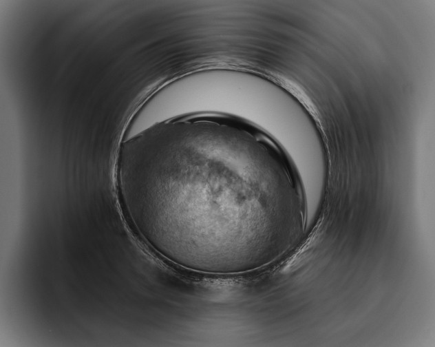 X0000093110946200710101019